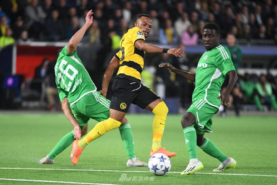 我们看到了 我们看到了